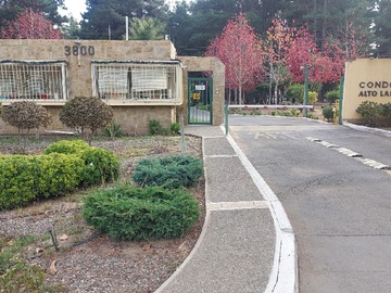 Imagen 19