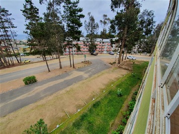 Imagen 24