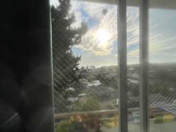 Imagen 11