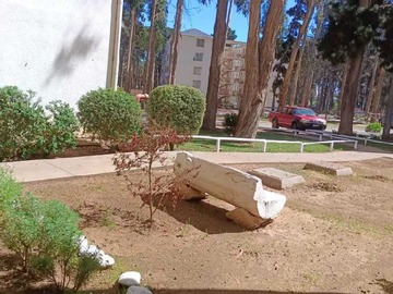 Venta / Departamento / El Tabo