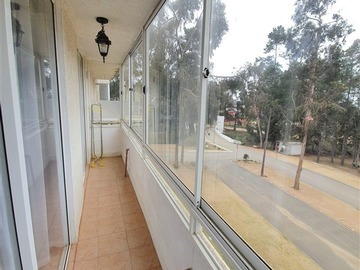 Imagen 19