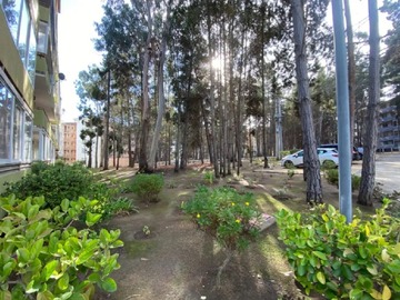 Imagen 10