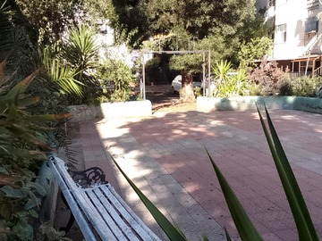 Imagen 6