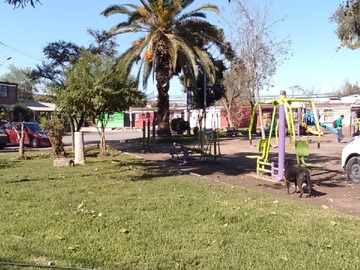 Imagen 5