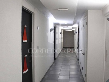 Imagen 23