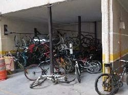 Imagen 4