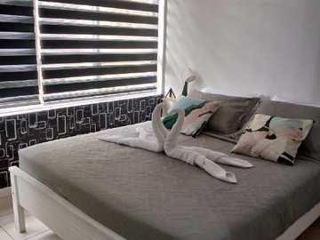 Imagen 11