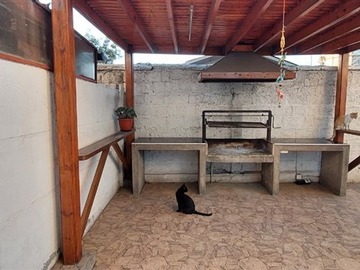 Imagen 13