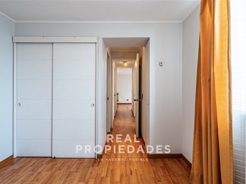 Imagen 15