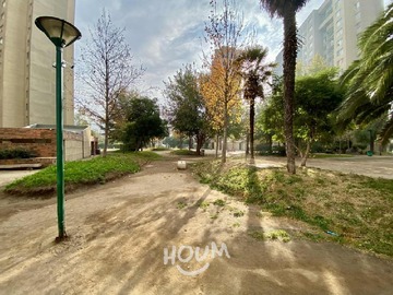 Imagen 23