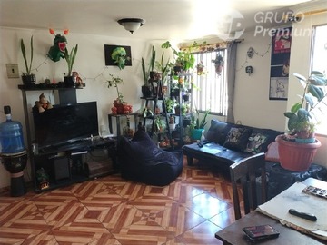 Imagen 13