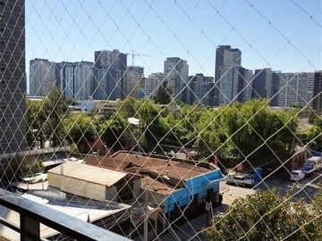 Imagen 11