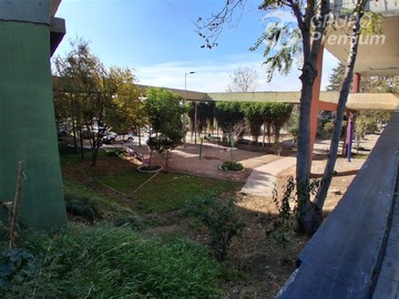 Imagen 15