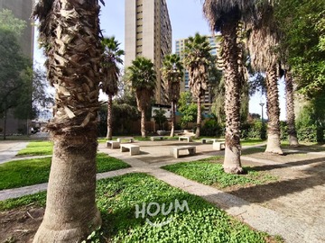Imagen 12