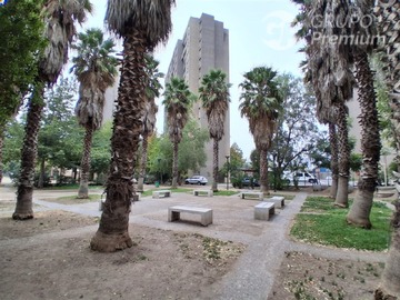 Imagen 15