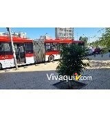 Imagen 6