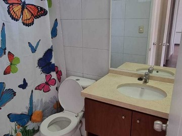 Imagen 13