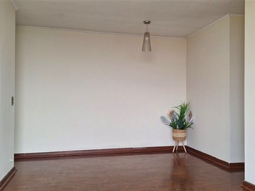 Imagen 5