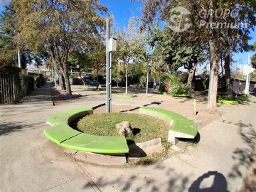 Imagen 12