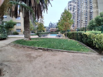 Imagen 13