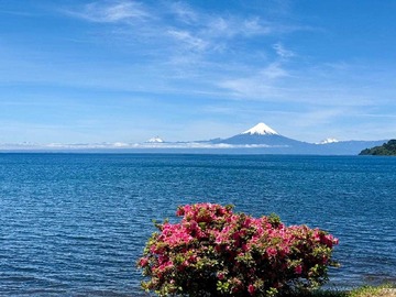 Venta / Departamento / Frutillar