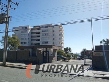 Imagen 14