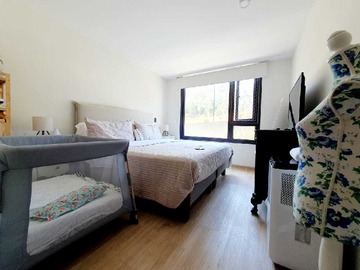 Imagen 6