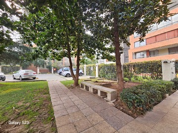 Imagen 20
