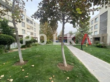 Imagen 15