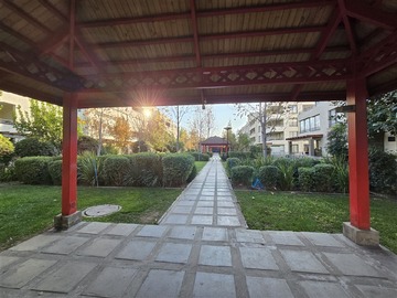 Imagen 28