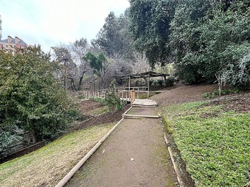Imagen 14