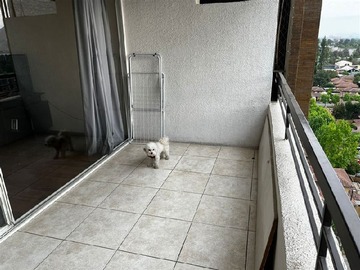 Imagen 13