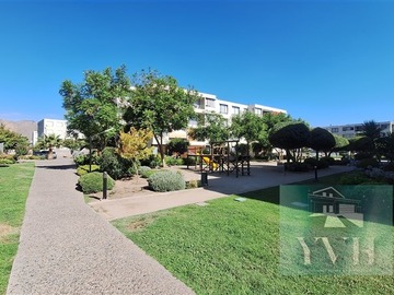 Imagen 26