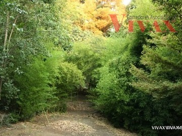 Imagen 22