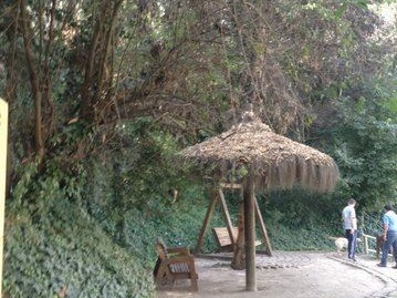 Imagen 4