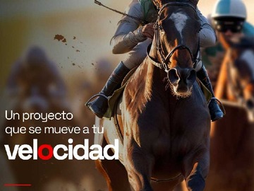 Imagen 0
