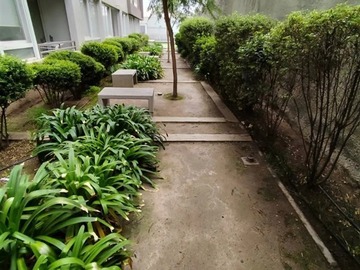 Imagen 11