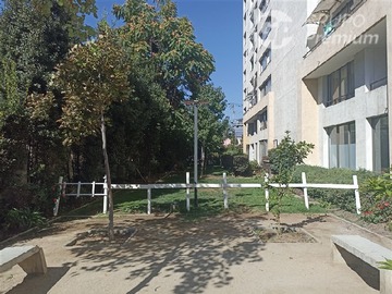 Imagen 11