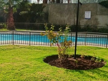 Imagen 16