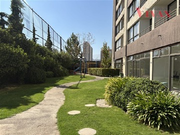 Imagen 10