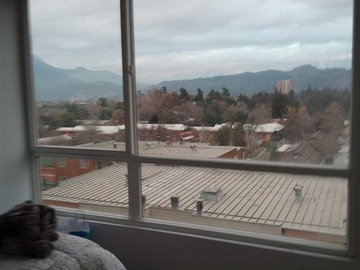 Imagen 6