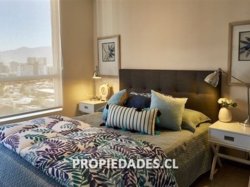 Imagen 7