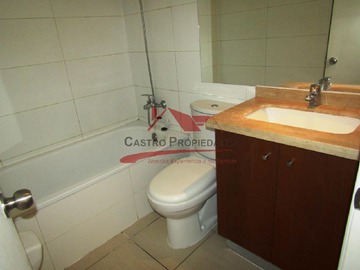 Imagen 15