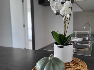 Venta / Departamento / Independencia