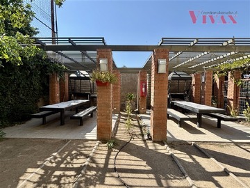 Imagen 11