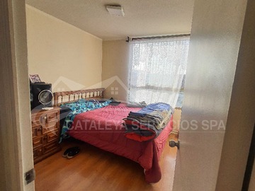 Imagen 6