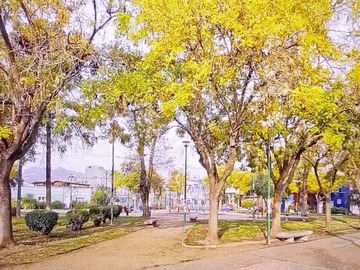 Imagen 4