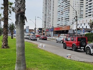 Imagen 9