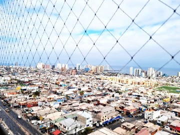 Imagen 5