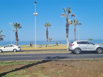 Imagen 5